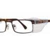 Matte-Brown front, Tortoise temples