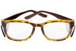 Bollé Spicy Tortoise